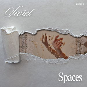 Secret Spaces