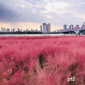 恋爱进行曲pt2（Demo）（Prod.Gr33nart Beats）