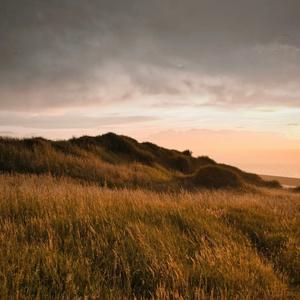 循迹（免会员版）