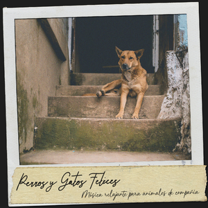 Música para gatitos