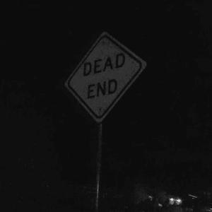 LONG LIVE THE GUYS (LLMM LLCC)