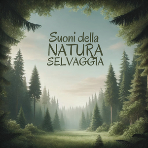 Aura piovosa