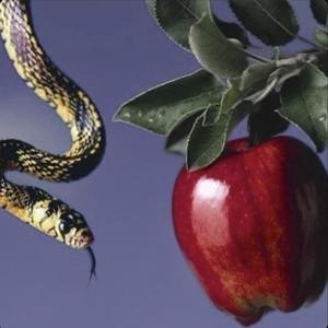 Kan't Fold (feat. Xeraki, Azarae, New Age Music & Chris Finesse Exclusives)