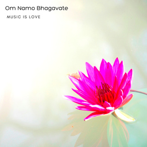 Om Namo Bhagavate
