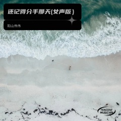 还记得分手那天 (女声版)