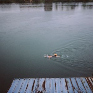 BWV1004 Allemanda（feat.mandolin）