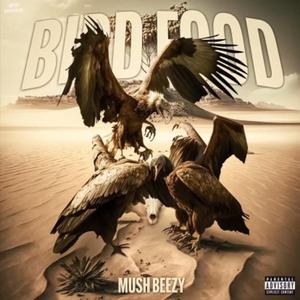 MushxGleesh Freestyle