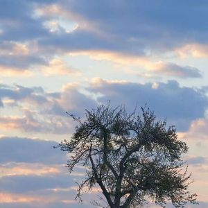 红红火火过大年