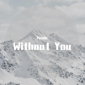 Without You