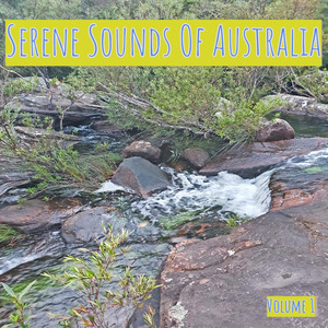 Bushwalk (Ambience Birds)