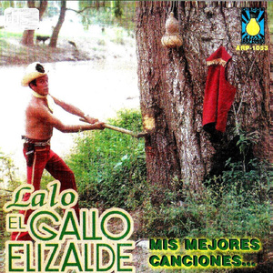 Ayer Baje De La Sierra (Lalo El Gallo Elizalde)