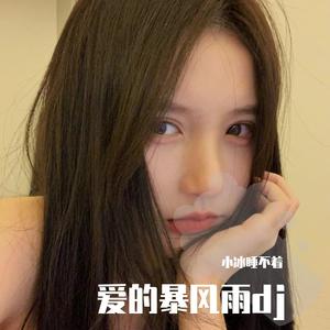 耀安逸-爱的暴风雨（DJ版）（耀安逸 remix）