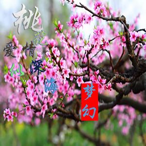 桃花爱情深似海（翻自 清浩）