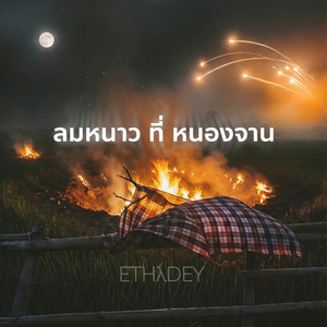 ลมหนาว ที่ หนองจาน