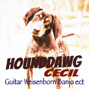 Dragonfly Riverdance