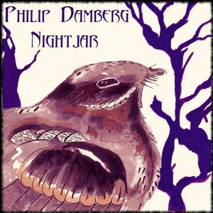 Nightjar