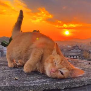 这首歌没唱直接听