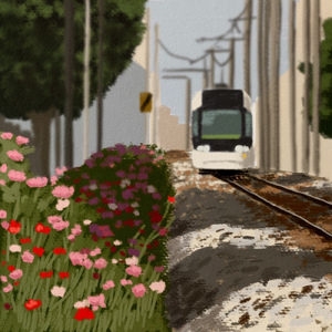 南富山(Minami-Toyama) T61