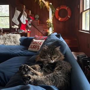 Christmas Cleanup Crew