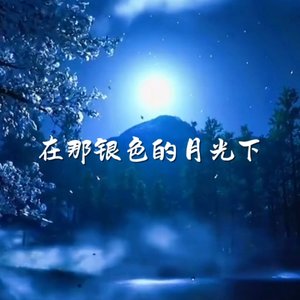 在那银色月光下