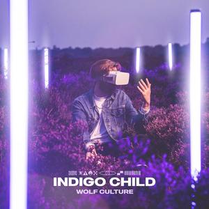 INDIGO CHILD
