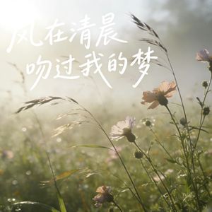 风在清晨吻过我的梦