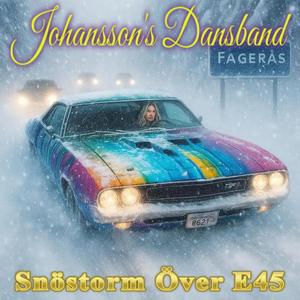 Snöstorm Över E45