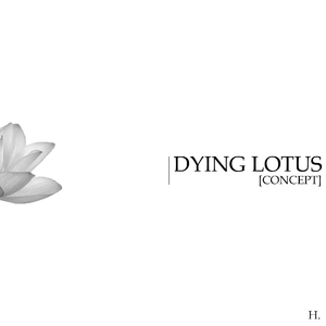 #####sutolgniyd#####