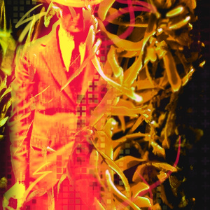 Swing Hero - Feeding Frenzy