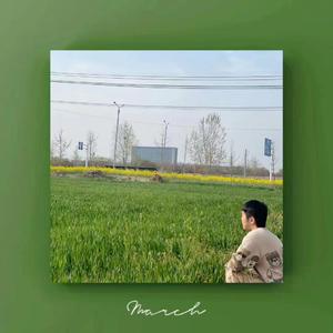 陈淑桦-笑红尘（无味的灵魂v remix）