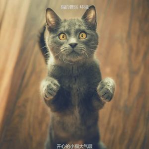 一尘不染小猫印象数