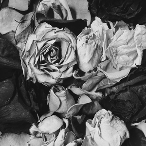 Одному (Акустика)