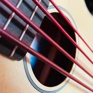 Dresis Ukulelenbass