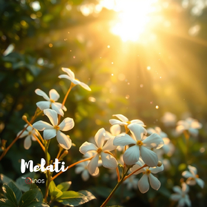 Melati