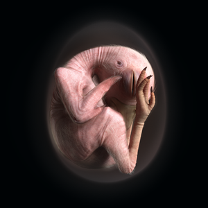 Phase 3: Magnum Opus - Altergeist [Tape]