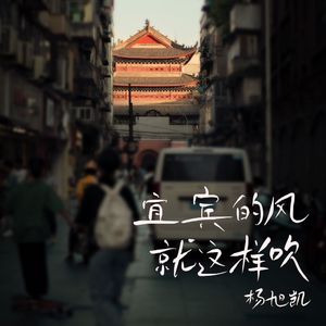 宜宾的风就这样吹