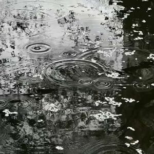 我想拥抱你不是风