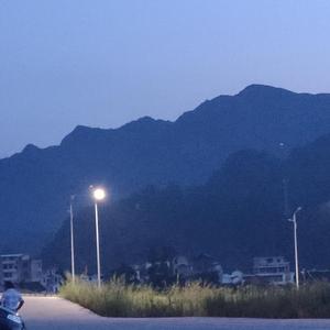 胡子鱼（prod by heydium）