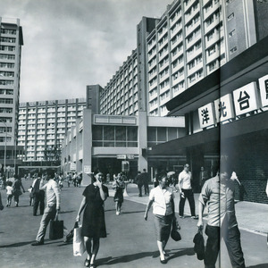 真夏の夜のトラジティー