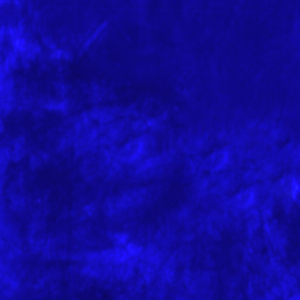 Untitled 2