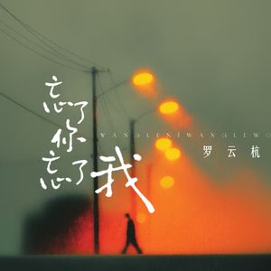 忘了你忘了我（伴奏）