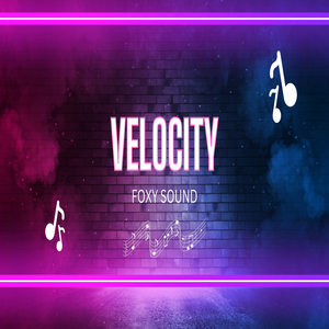 Velocity