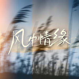 你是我藏在伟大友谊下的无望爱人