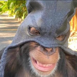 Spin Around (feat. ReseMoney)