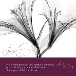 I Can’t Get Over You