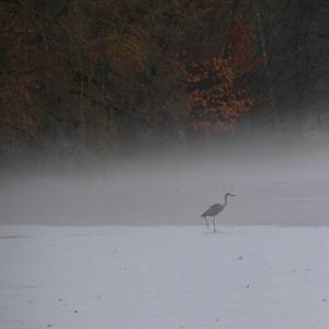 Spinning Globe (from Studio Ghibli Movie "The Boy and The Heron") (Piano Version)