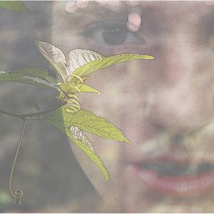 Carta de las Equivocaciones (Versión Acústica)