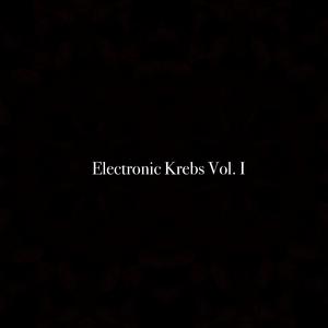 Trio in B-flat major, Krebs-WV 451