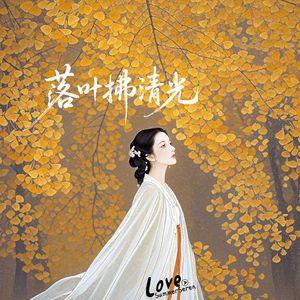 落叶拂清光