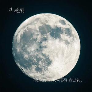 月光不回头 你把我灌醉 你让我流泪（ Remix）